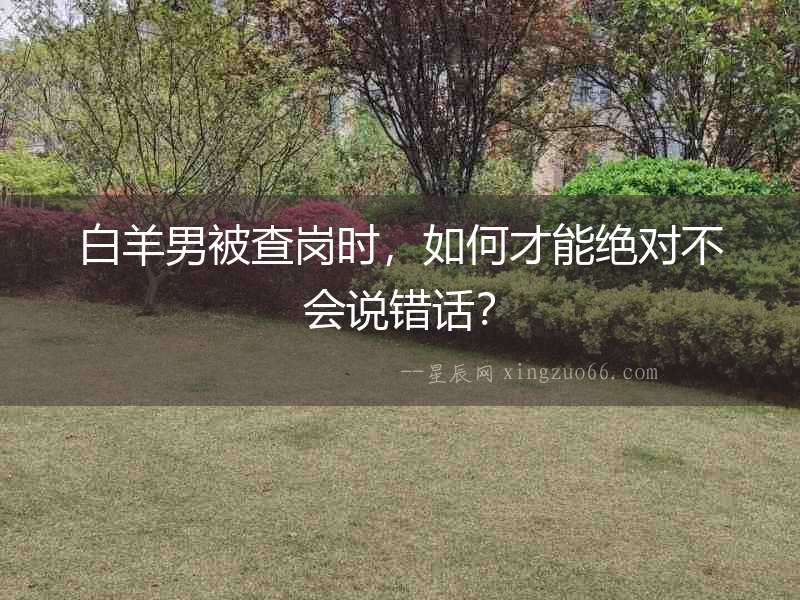 白羊男被查崗時，如何才能絕對不會說錯話？