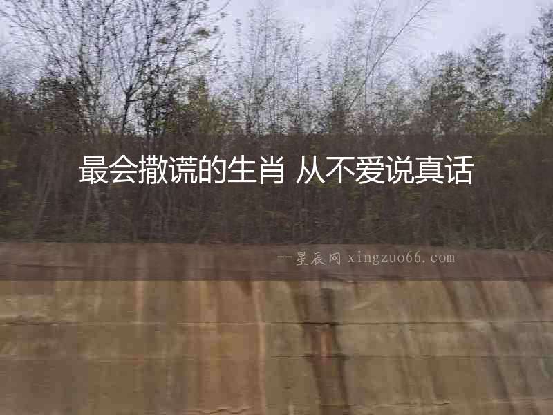 最會(huì)撒謊的生肖 從不愛說真話