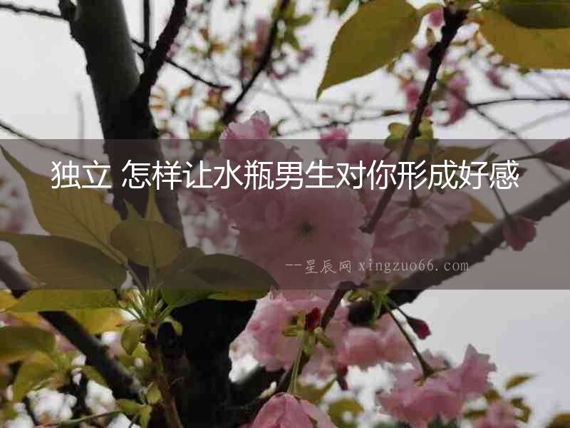 獨立 怎樣讓水瓶男生對你形成好感