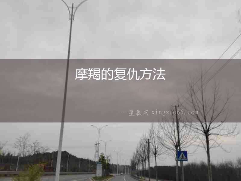 摩羯的復仇方法
