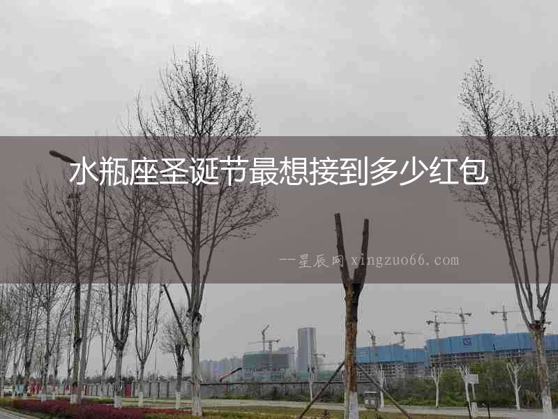 水瓶座圣誕節最想接到多少紅包