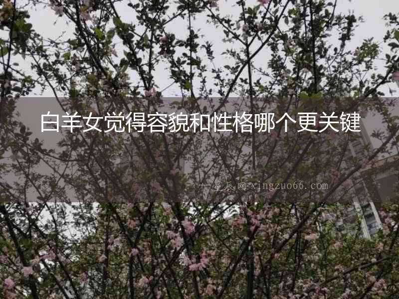 白羊女覺(jué)得容貌和性格哪個(gè)更關(guān)鍵
