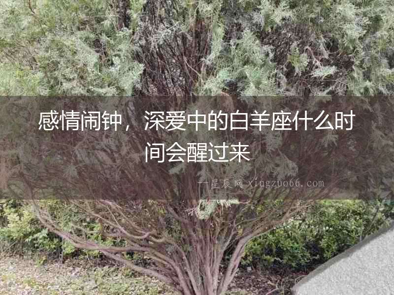 感情鬧鐘，深愛中的白羊座什么時間會醒過來