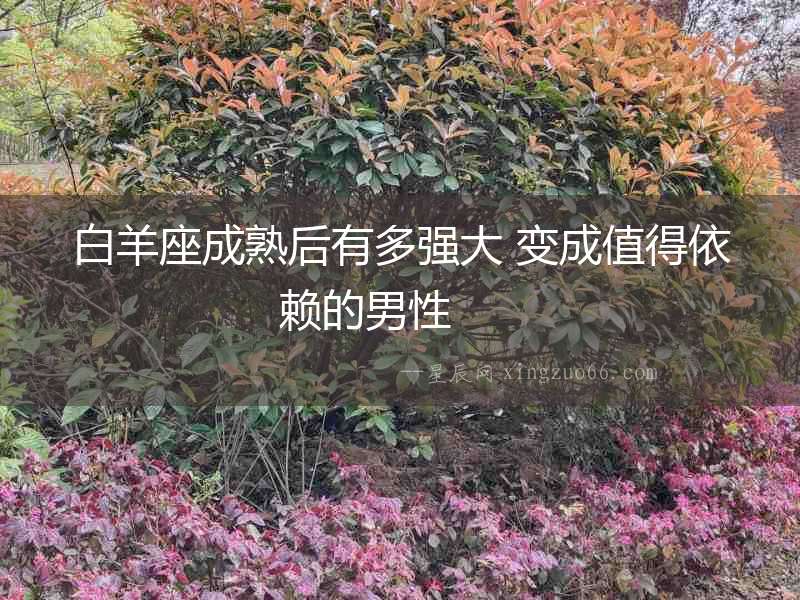 白羊座成熟后有多強(qiáng)大 變成值得依賴的男性  　　