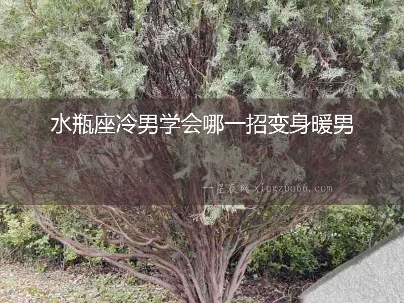 水瓶座冷男學(xué)會(huì)哪一招變身暖男