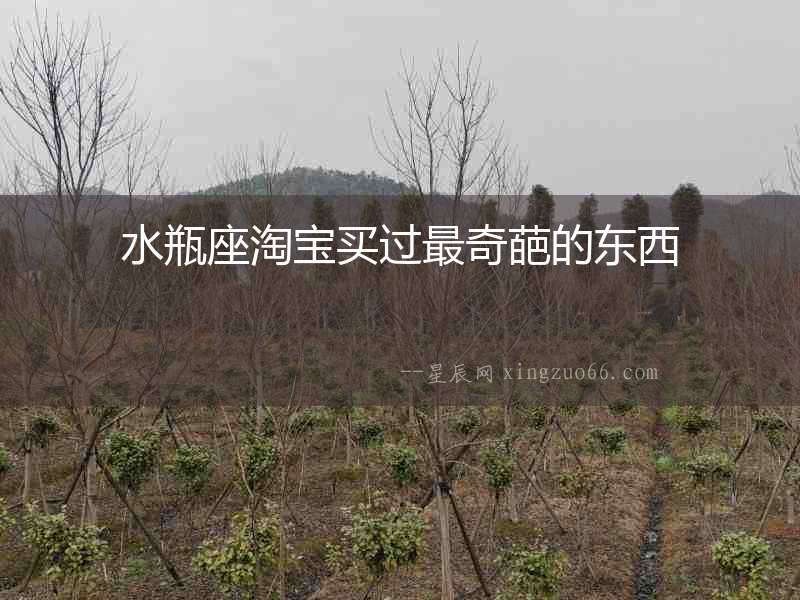 水瓶座淘寶買(mǎi)過(guò)最奇葩的東西