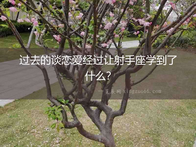 過去的談戀愛經過讓射手座學到了什么？