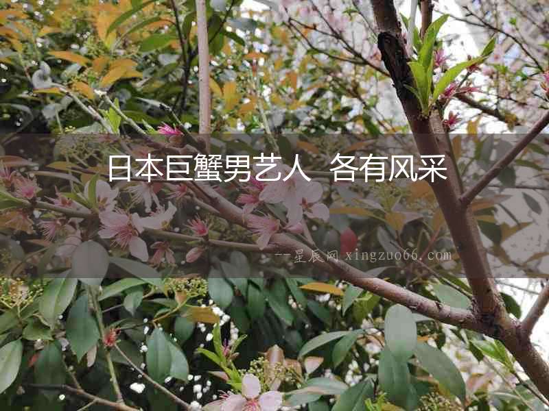 日本巨蟹男藝人  各有風(fēng)采