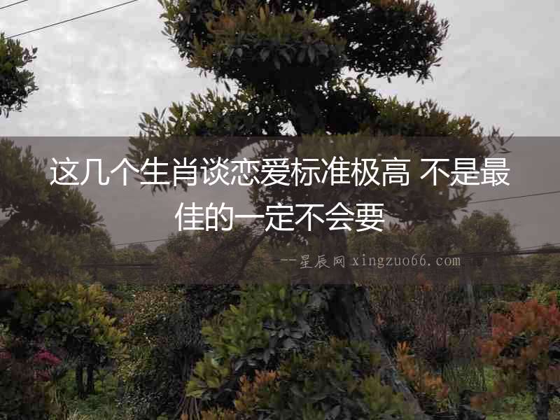 這幾個生肖談戀愛標準極高 不是最佳的一定不會要