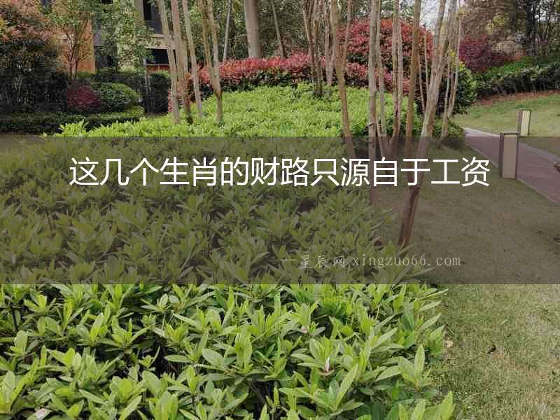 這幾個(gè)生肖的財(cái)路只源自于工資