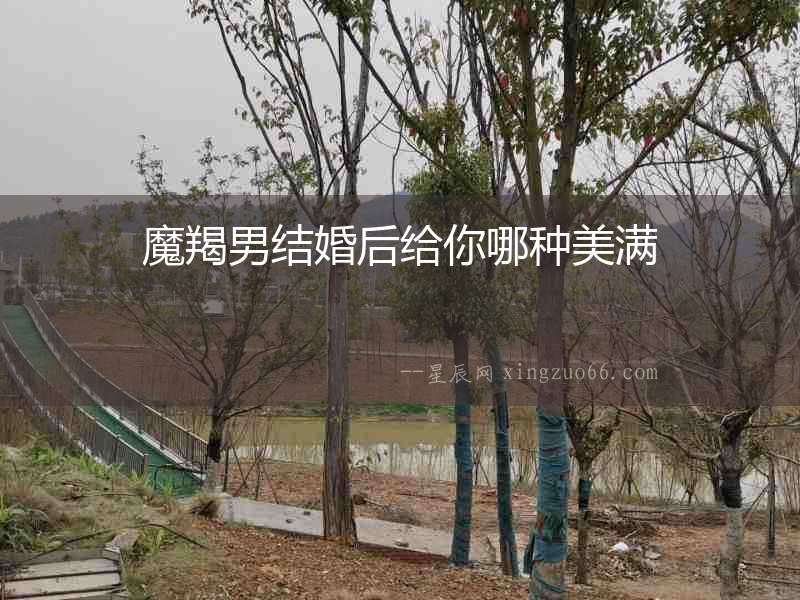魔羯男結(jié)婚后給你哪種美滿