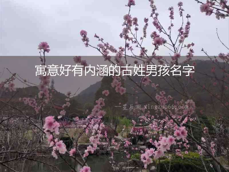 寓意好有內(nèi)涵的古姓男孩名字