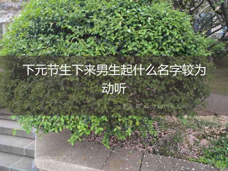 下元節生下來男生起什么名字較為動聽