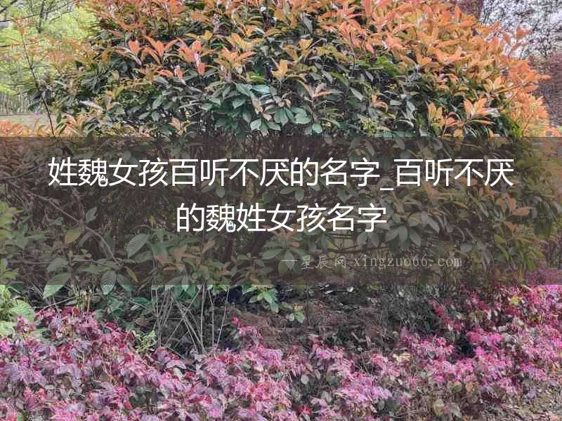 姓魏女孩百聽不厭的名字_百聽不厭的魏姓女孩名字