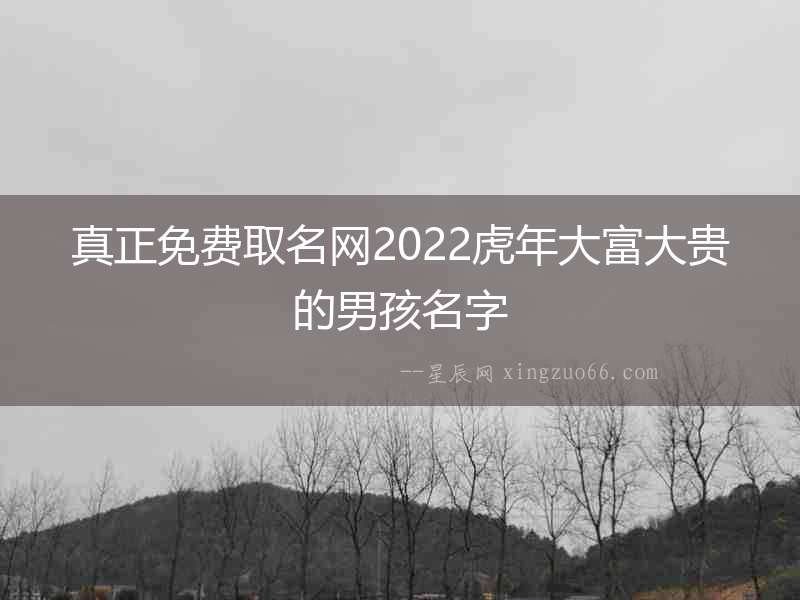 真正免費取名網2022虎年大富大貴的男孩名字