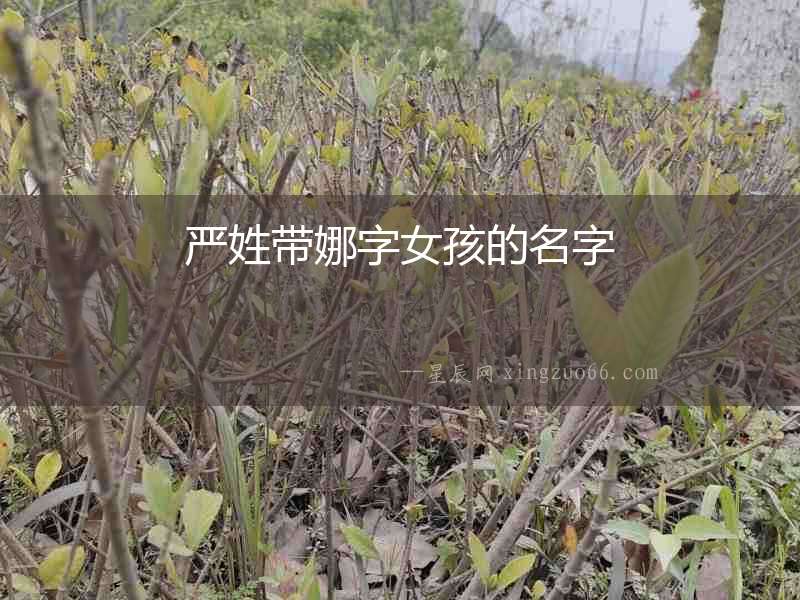嚴(yán)姓帶娜字女孩的名字
