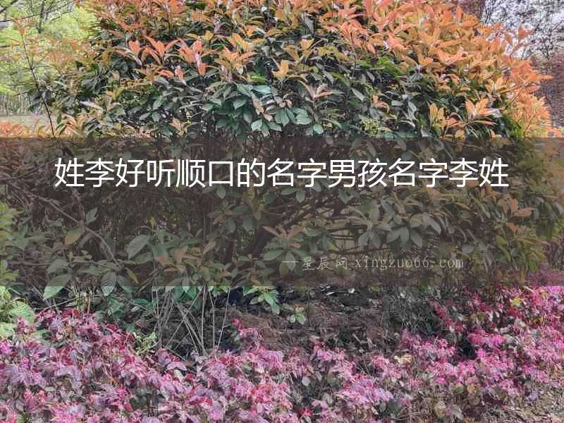 姓李好聽順口的名字男孩名字李姓
