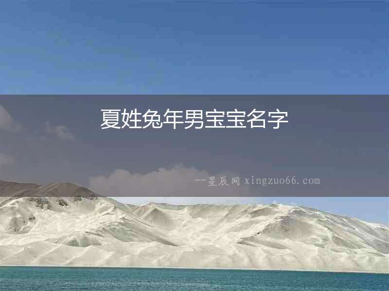 夏姓兔年男寶寶名字