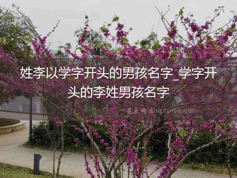 姓李以學(xué)字開(kāi)頭的男孩名字_學(xué)字開(kāi)頭的李姓男孩名字