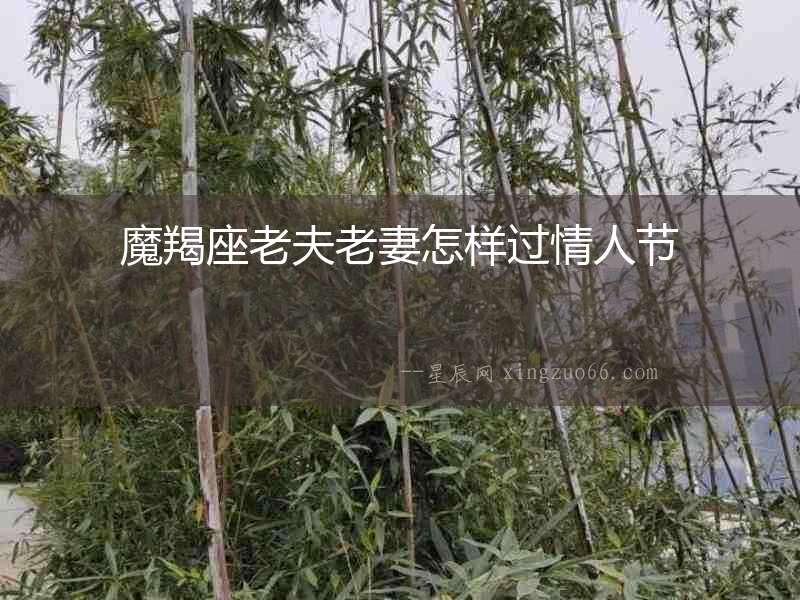 魔羯座老夫老妻怎樣過(guò)情人節(jié)