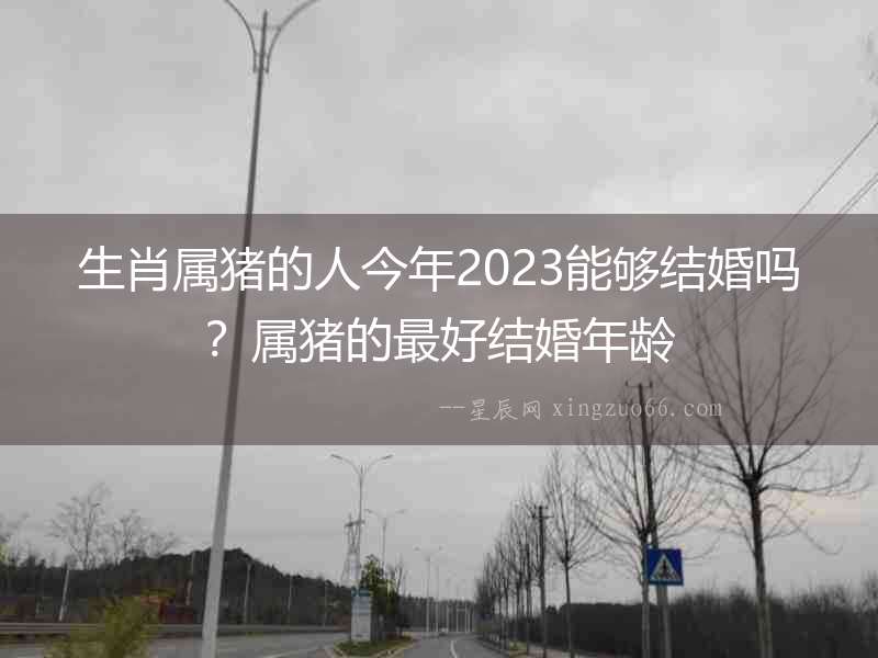 生肖屬豬的人今年2023能夠結婚嗎？屬豬的最好結婚年齡