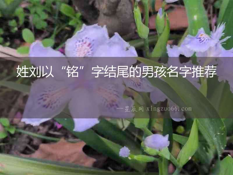 姓劉以“銘”字結(jié)尾的男孩名字推薦