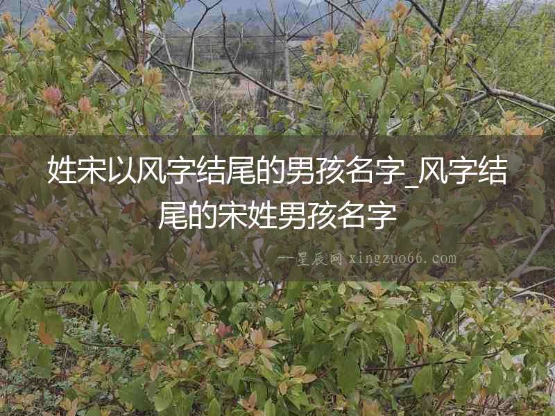 姓宋以風(fēng)字結(jié)尾的男孩名字_風(fēng)字結(jié)尾的宋姓男孩名字