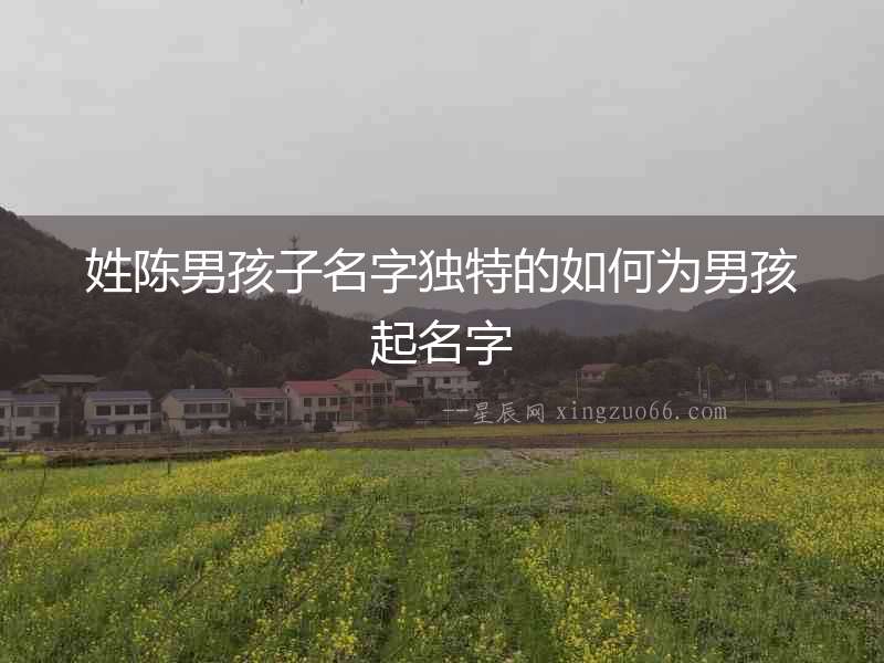 姓陳男孩子名字獨(dú)特的如何為男孩起名字
