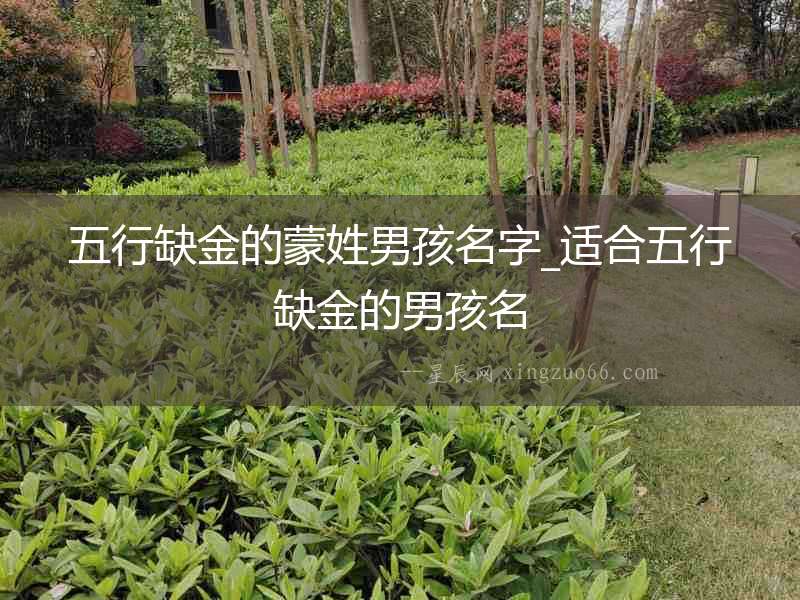 五行缺金的蒙姓男孩名字_適合五行缺金的男孩名
