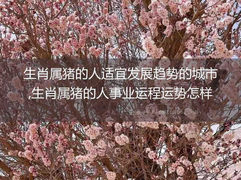生肖屬豬的人適宜發(fā)展趨勢的城市,生肖屬豬的人事業(yè)運(yùn)程運(yùn)勢怎樣