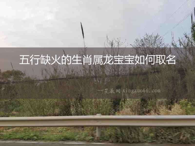 五行缺火的生肖屬龍寶寶如何取名