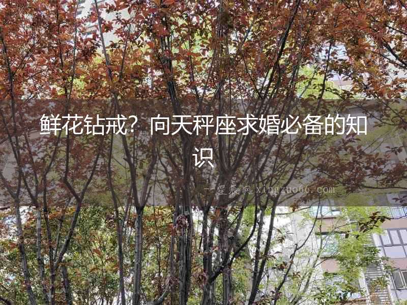 鮮花鉆戒？向天秤座求婚必備的知識