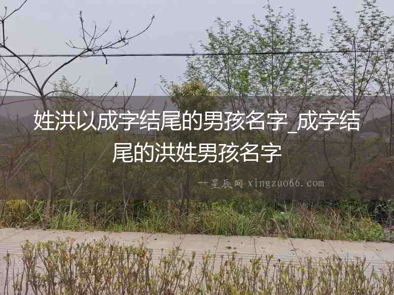 姓洪以成字結(jié)尾的男孩名字_成字結(jié)尾的洪姓男孩名字