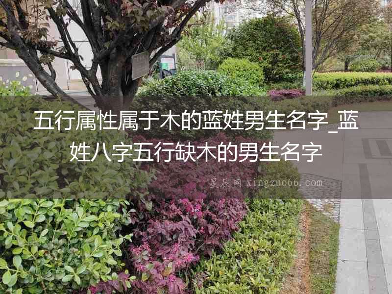 五行屬性屬于木的藍姓男生名字_藍姓八字五行缺木的男生名字