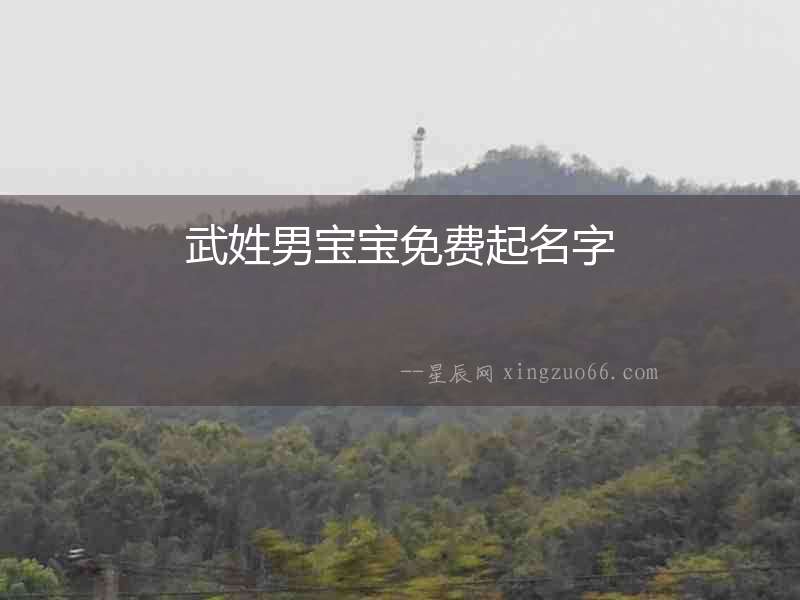 武姓男寶寶免費起名字