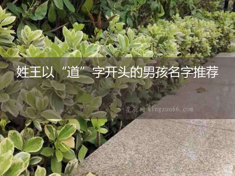 姓王以“道”字開頭的男孩名字推薦