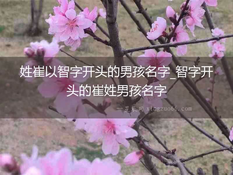 姓崔以智字開頭的男孩名字_智字開頭的崔姓男孩名字