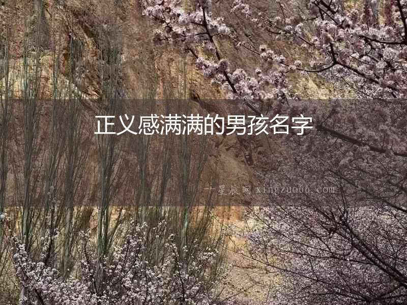 正義感滿滿的男孩名字