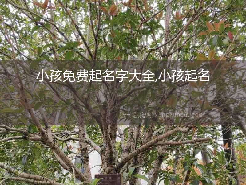 小孩免費起名字大全,小孩起名