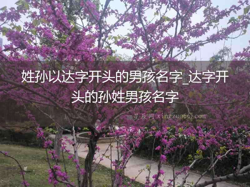 姓孫以達字開頭的男孩名字_達字開頭的孫姓男孩名字