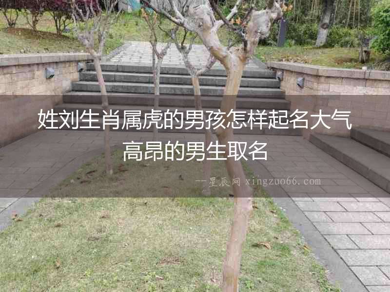 姓劉生肖屬虎的男孩怎樣起名大氣高昂的男生取名