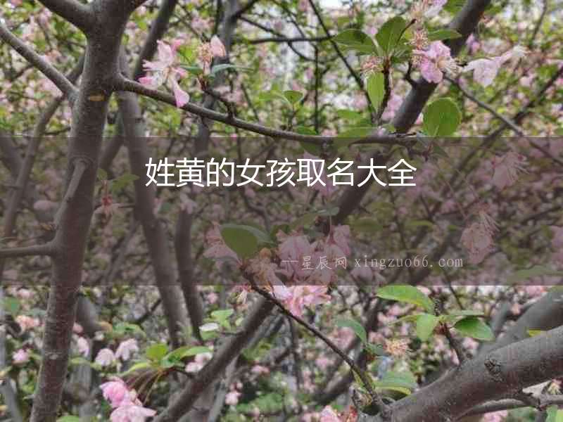 姓黃的女孩取名大全