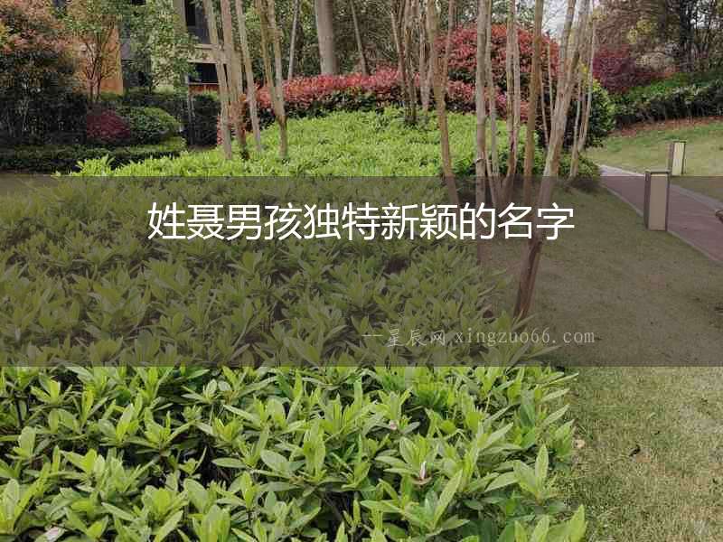 姓聶男孩獨(dú)特新穎的名字