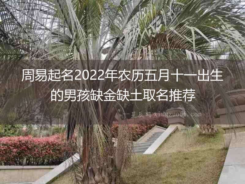 周易起名2022年農歷五月十一出生的男孩缺金缺土取名推薦