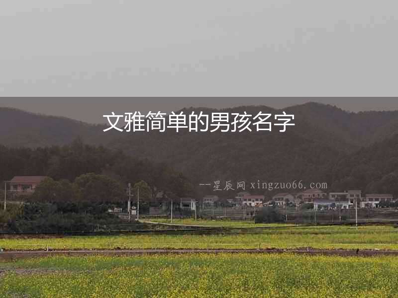文雅簡(jiǎn)單的男孩名字