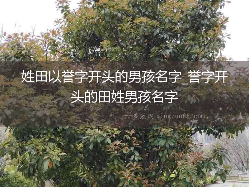 姓田以譽(yù)字開頭的男孩名字_譽(yù)字開頭的田姓男孩名字
