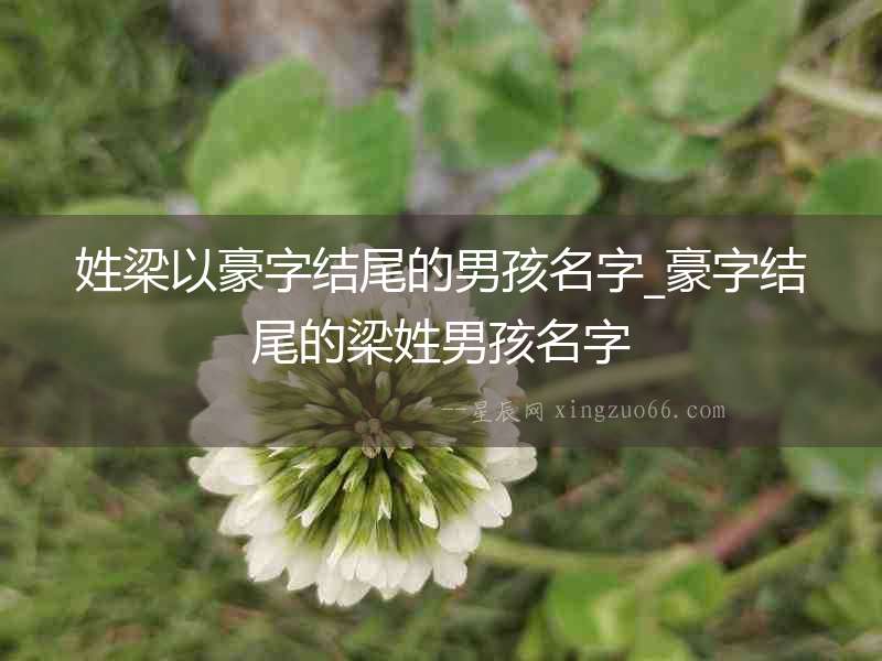姓梁以豪字結尾的男孩名字_豪字結尾的梁姓男孩名字