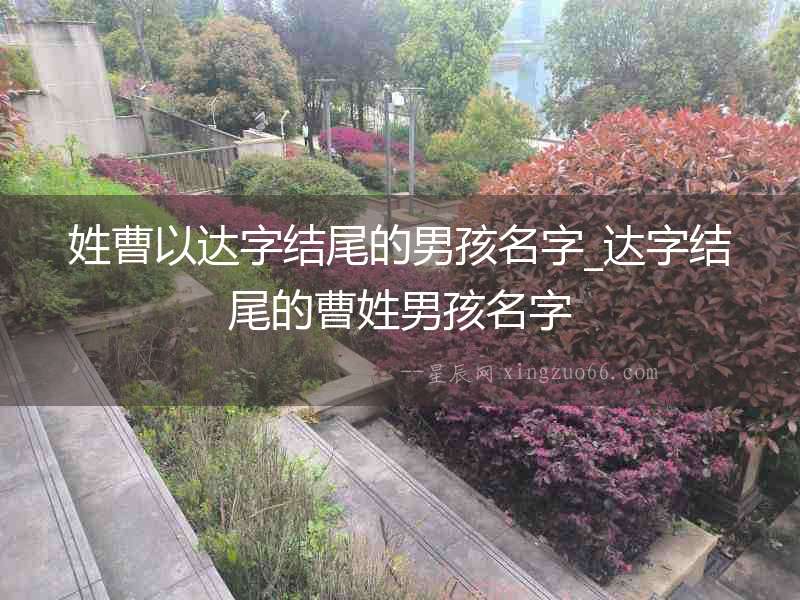 姓曹以達(dá)字結(jié)尾的男孩名字_達(dá)字結(jié)尾的曹姓男孩名字