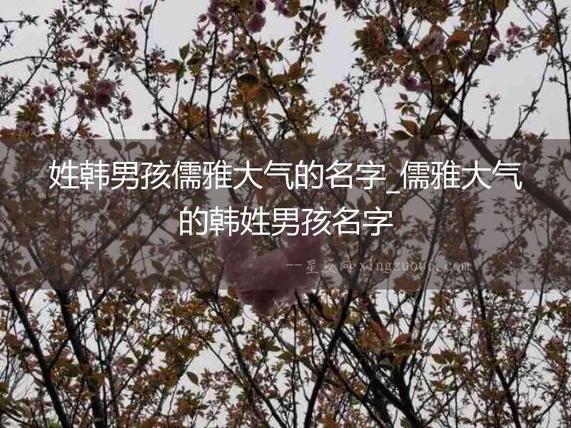 姓韓男孩儒雅大氣的名字_儒雅大氣的韓姓男孩名字