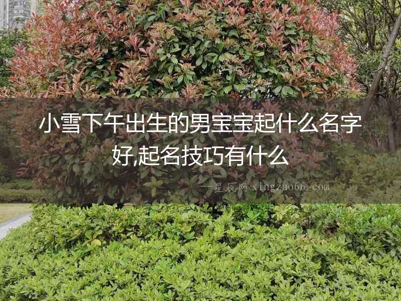 小雪下午出生的男寶寶起什么名字好,起名技巧有什么